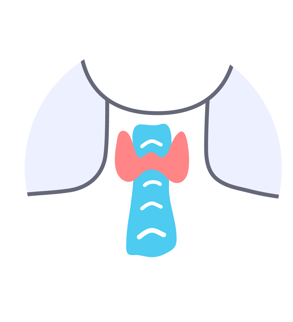 Full Body Checkup Packages Book Medical Checkup Online Practo