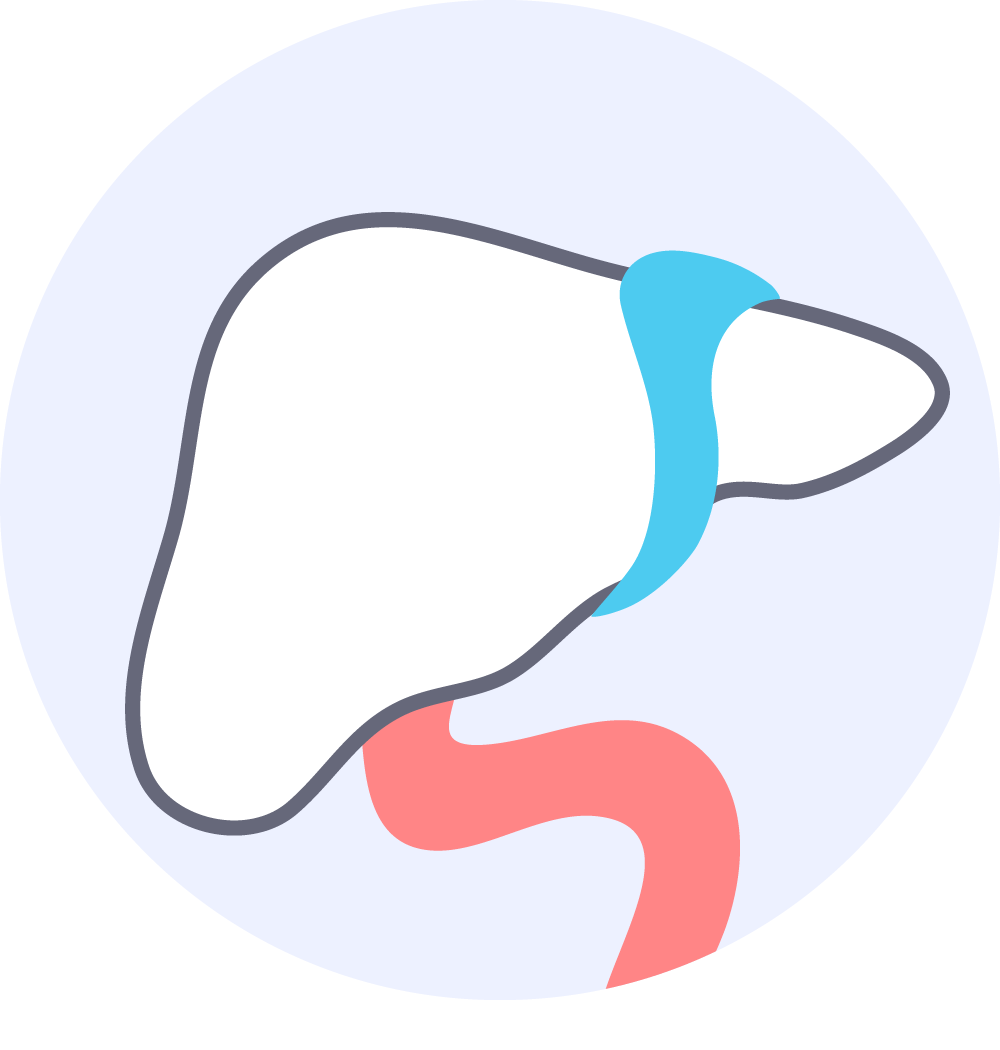 Full Body Checkup Packages Book Medical Checkup Online Practo